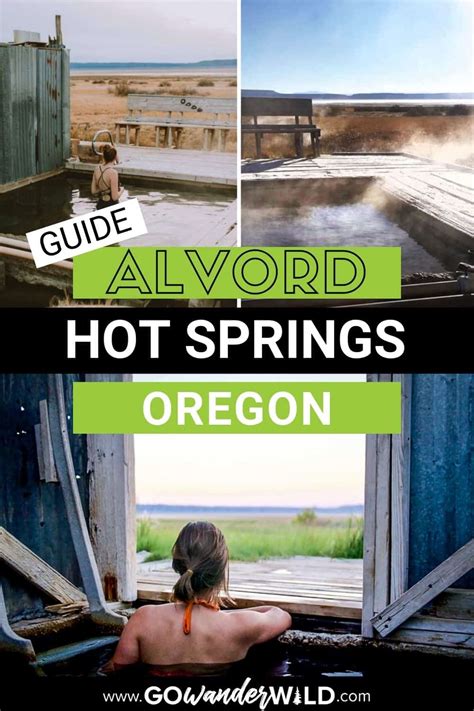 Alvord Hot Springs: How to Get There & What to Expect